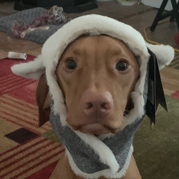 Meet your Posher, Joanna - Picture 1 of 1